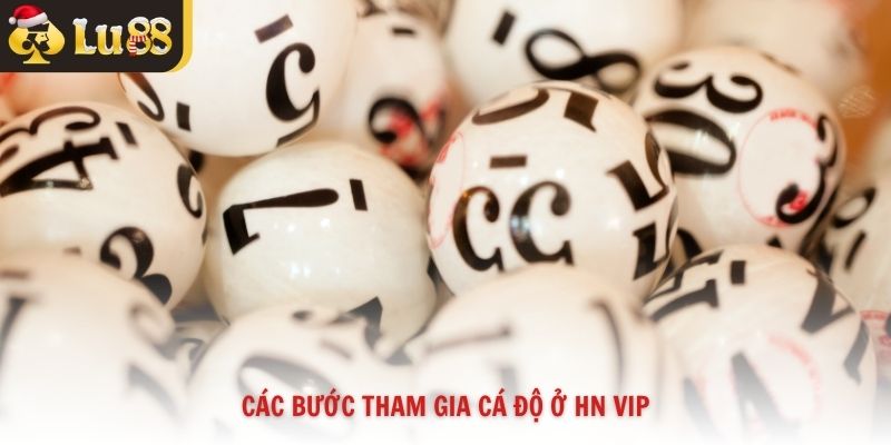 Các bước tham gia cá độ ở HN VIP